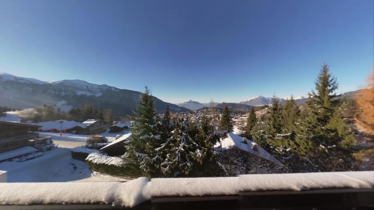 Duplex 4 Pers Pied De Pistes Apartment Les Carroz d'Araches